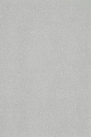 ModernWall Covering