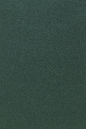 ModernWall Covering