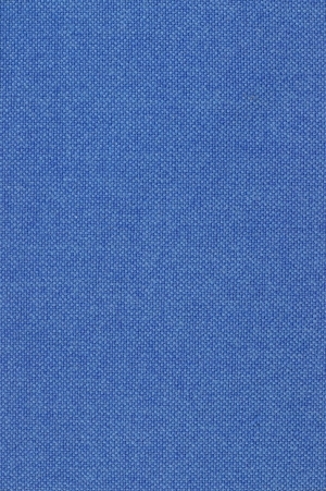 ModernWall Covering