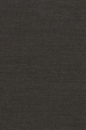 ModernWall Covering