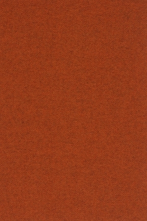 ModernWall Covering