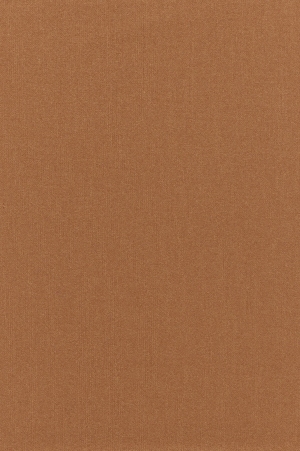 ModernWall Covering
