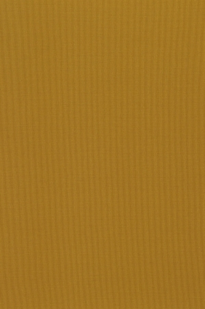 ModernWall Covering