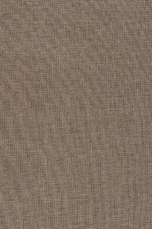 ModernWall Covering