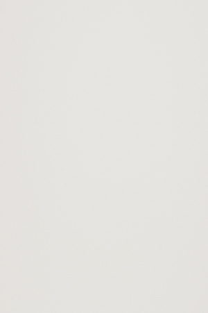 ModernWall Covering