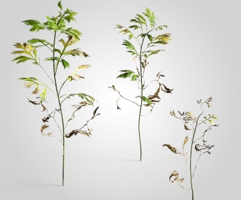 Modern Plant-ID:533246041