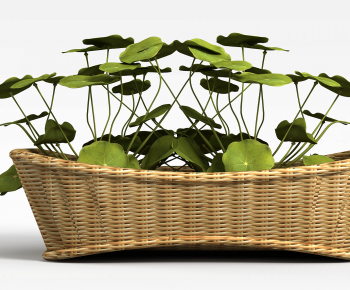 Modern Potted Green Plant-ID:625643978