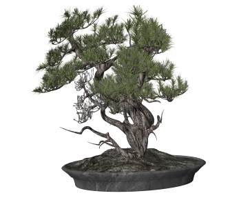 New Chinese Style Bonsai-ID:191725979