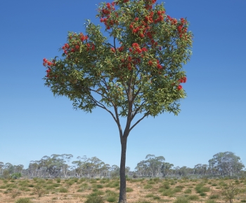 Modern Tree-ID:656618127