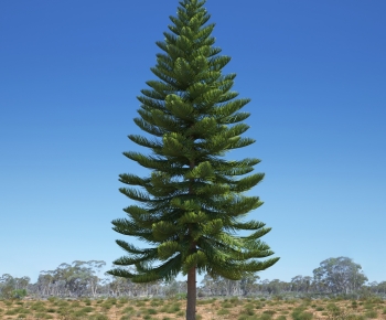 Modern Tree-ID:265986924