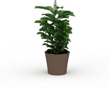 Modern Desktop Plant-ID:188945064