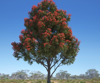 Modern Tree-ID:550779108