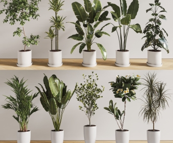 Modern Ground Green Plant Potted Plants-ID:812305935