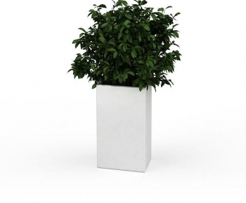 Modern Flower Bed, Flower Bowl, Flower Box-ID:609410057