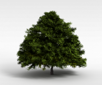 Modern Tree-ID:638360024