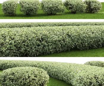 Modern Shrubbery-ID:844620946