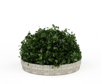 Modern Shrubbery-ID:746331936