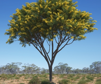 Modern Tree-ID:751221223