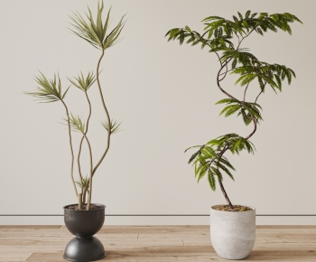 Modern Ground Green Plant Potted Plants-ID:559369099