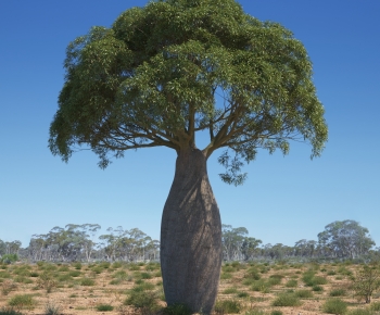 Modern Tree-ID:741510462