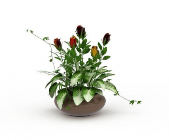 Modern Potted Green Plant-ID:995419036