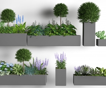 Modern Flower Bed, Flower Bowl, Flower Box-ID:900348906