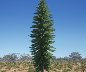 Modern Tree-ID:415632968
