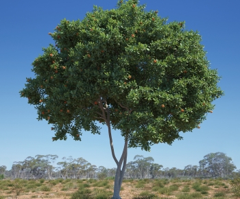 Modern Tree-ID:512291919