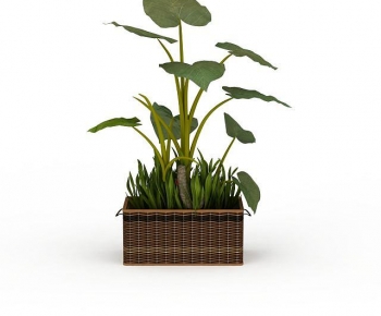 Modern Flower Bed, Flower Bowl, Flower Box-ID:689975026