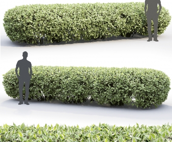 Modern Shrubbery-ID:230882889