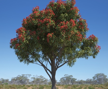 Modern Tree-ID:439016107