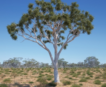 Modern Tree-ID:680897958