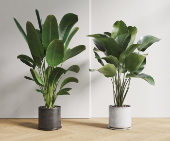 Modern Ground Green Plant Potted Plants-ID:921076065
