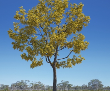 Modern Tree-ID:408394108