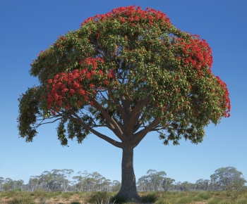 Modern Tree-ID:269630019