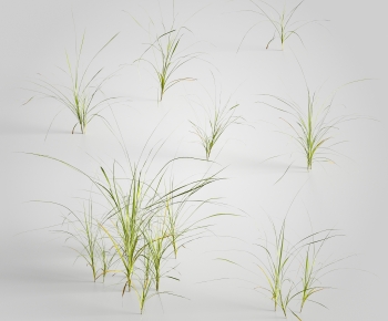 Modern The Grass-ID:335030639