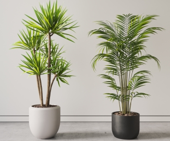 现代落地绿植盆栽组合-ID:646900899