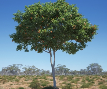 Modern Tree-ID:538784039