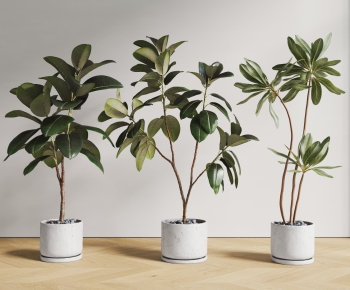 Modern Ground Green Plant Potted Plants-ID:703737025