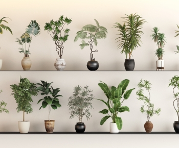 Modern Ground Green Plant Potted Plants-ID:843969114