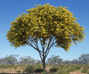 Modern Tree-ID:943470008