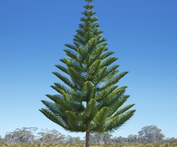 Modern Tree-ID:994749118