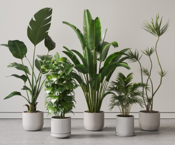 Modern Ground Green Plant Potted Plants-ID:480771066
