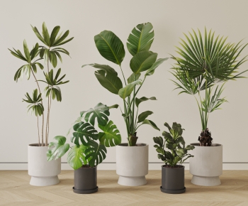 现代落地绿植盆栽组合-ID:363988934