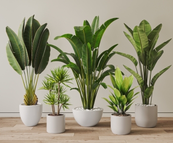 Modern Ground Green Plant Potted Plants-ID:813867094
