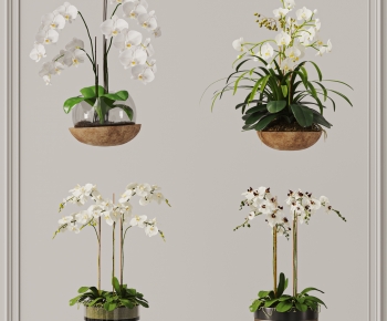 Modern Potted Green Plant-ID:306931978