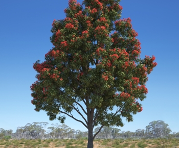 Modern Tree-ID:149415974