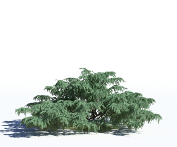 Modern Tree-ID:337723976