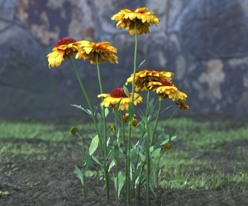 Modern Flowers And Grass-ID:467502129
