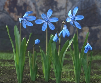 Modern Flowers And Grass-ID:245013002